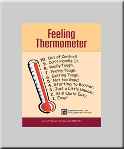 Feeling Thermometers - Medium